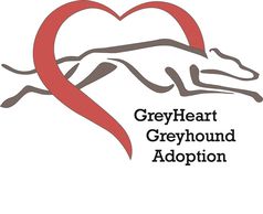 GreyHeart Greyhound Adoption of Michigan